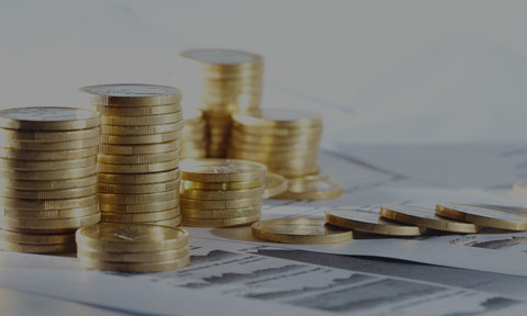 Isgec Investors