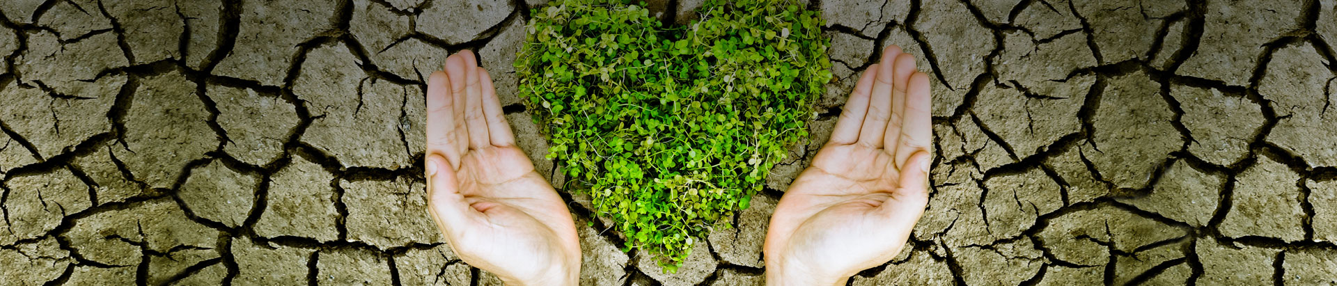Isgec Corporate Social Responsibility CSR