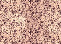 ASTM metal for Manganese Steel Abrasion Resistant Castings